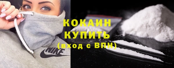 твердый Козловка